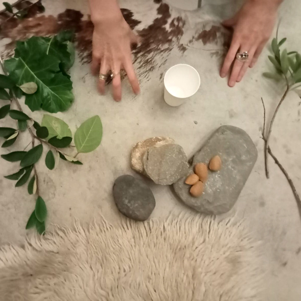 Formation atleir expo singes 03 2022